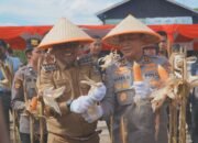 Bupati Pelalawan dan Kapolda Riau Panen Raya Jagung