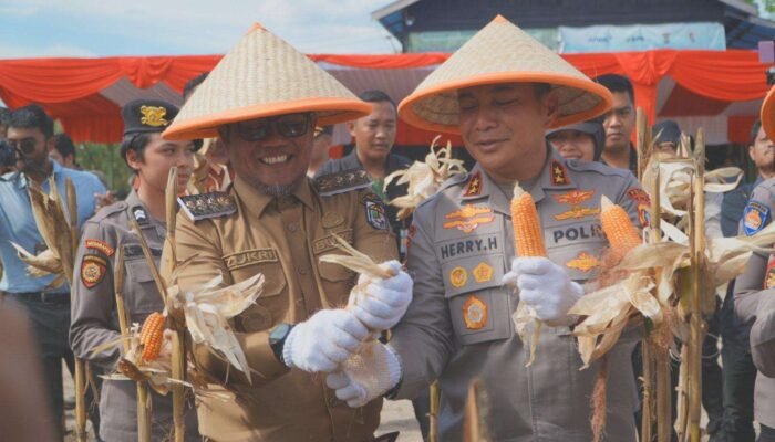 Bupati Pelalawan dan Kapolda Riau Panen Raya Jagung