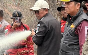 Bupati Pelalawan Tinjau Langsung Titik Karhutla di Desa Gambut Mutiara