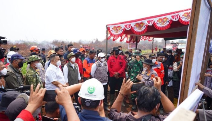 Plt Gubri SF Hariyanto dan Menhut Raja Juli Cek Pemadaman Gambut Kerumutan