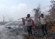 BMKG Pantau 171 Hotspot Karhutla di Riau, Upaya Pemadaman Digencarkan Tim Gabungan