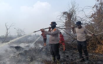 BMKG Pantau 171 Hotspot Karhutla di Riau, Upaya Pemadaman Digencarkan Tim Gabungan