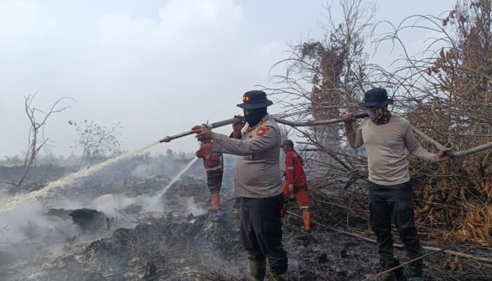 BMKG Pantau 171 Hotspot Karhutla di Riau, Upaya Pemadaman Digencarkan Tim Gabungan