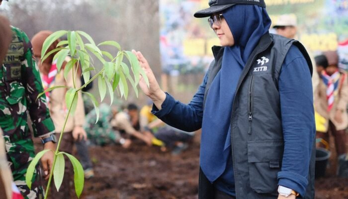 Bupati Afni Tanam Pohon di Lahan Bekas Karhutla upaya Penghijauan dan Menghindari Alih Fungsi Hutan